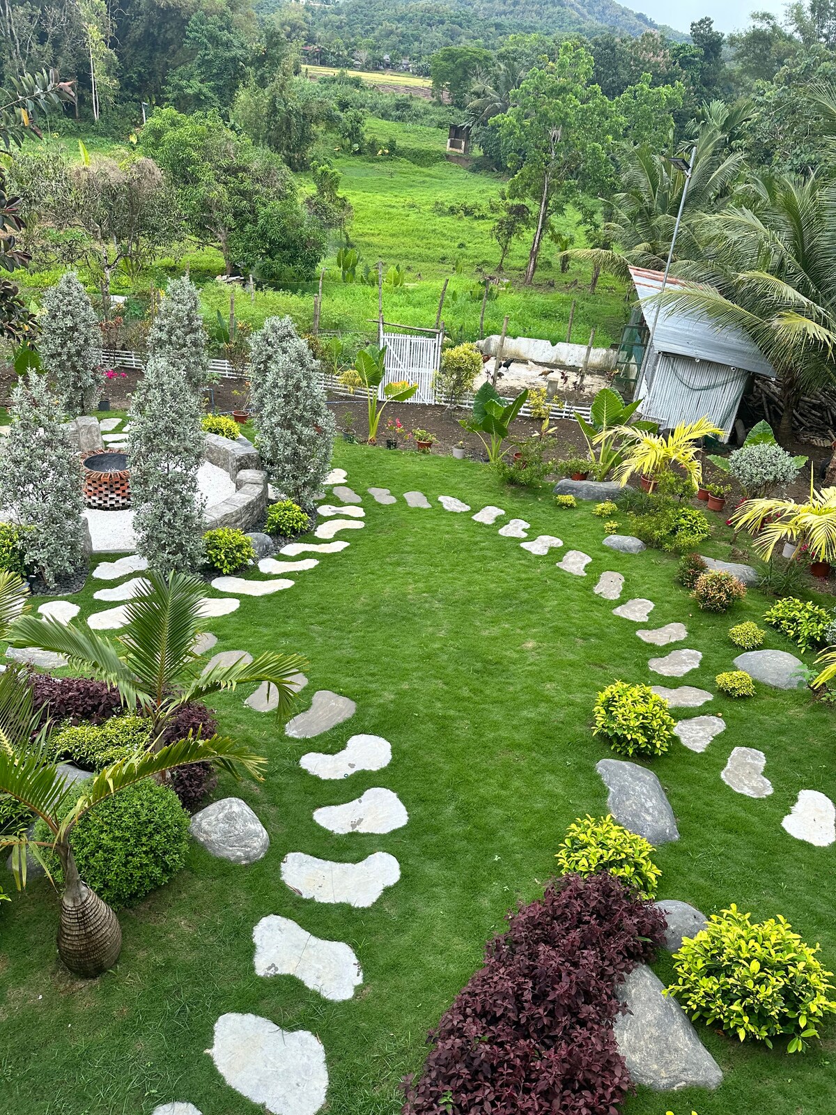 Casa Vida photo 2